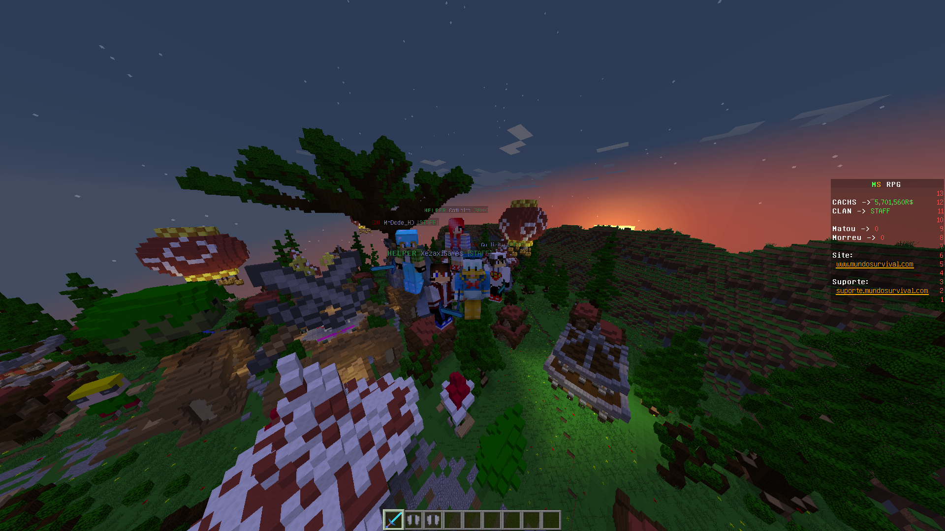 Print do Servidor