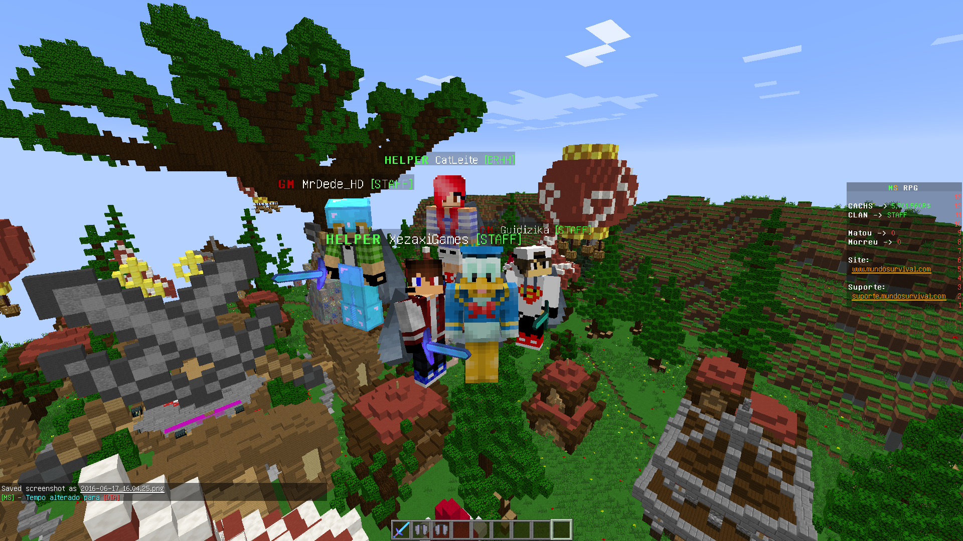 Print do Servidor