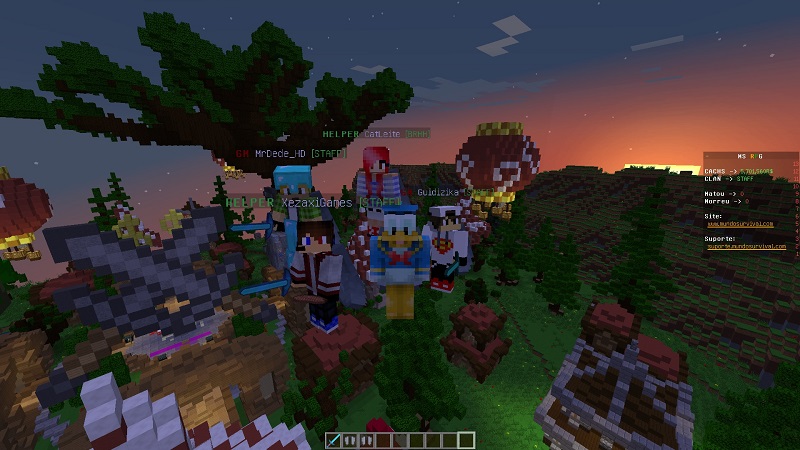 Print do Servidor